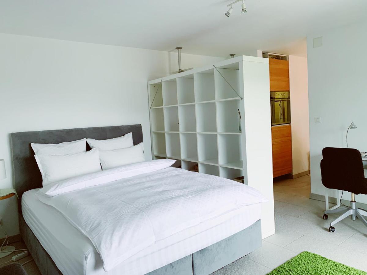Appartement N1 Standalone House Baden à Hertenstein Extérieur photo