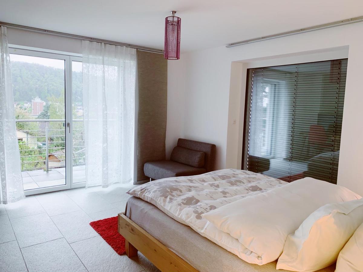 Appartement N1 Standalone House Baden à Hertenstein Extérieur photo