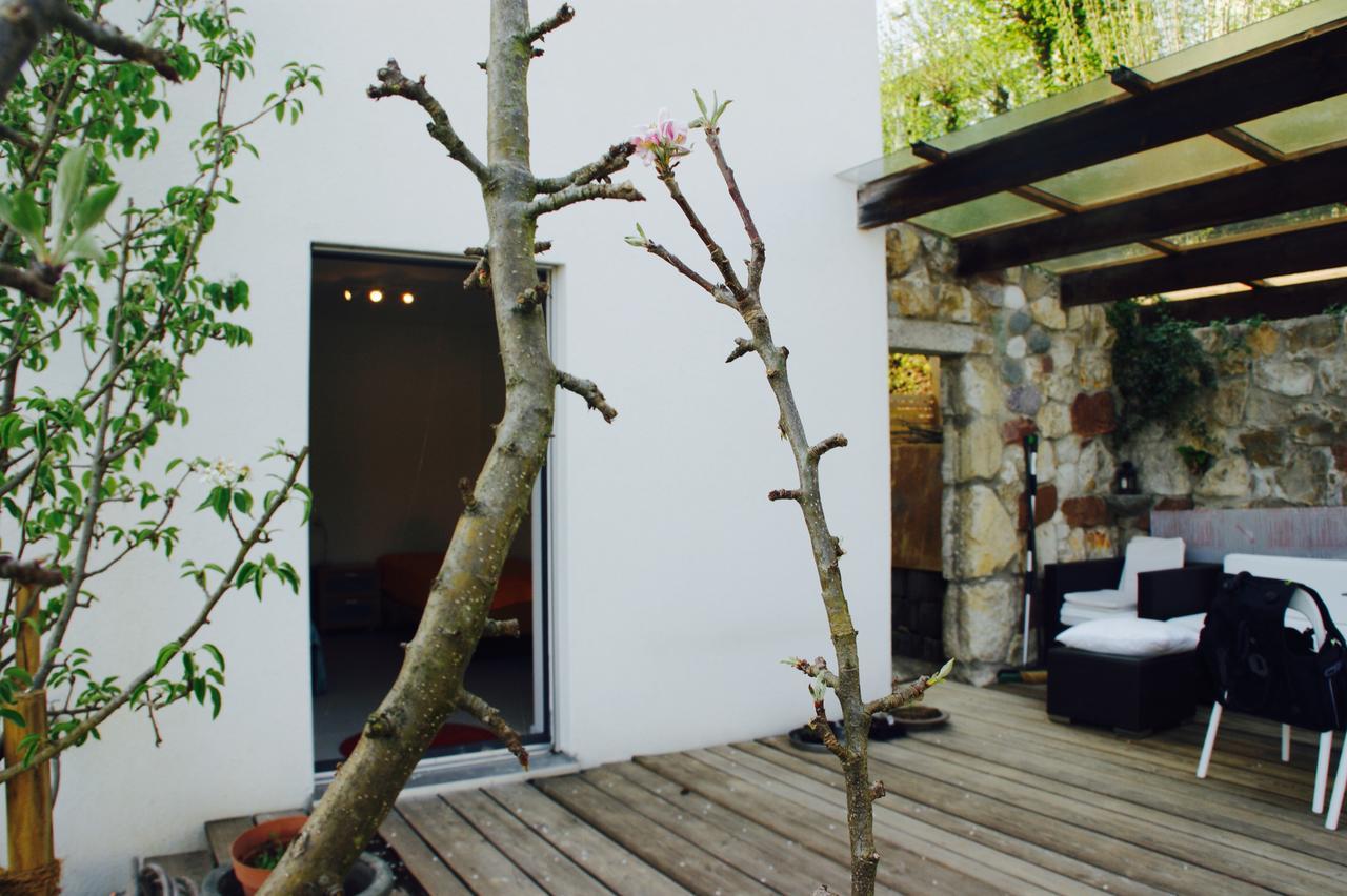 Appartement N1 Standalone House Baden à Hertenstein Extérieur photo